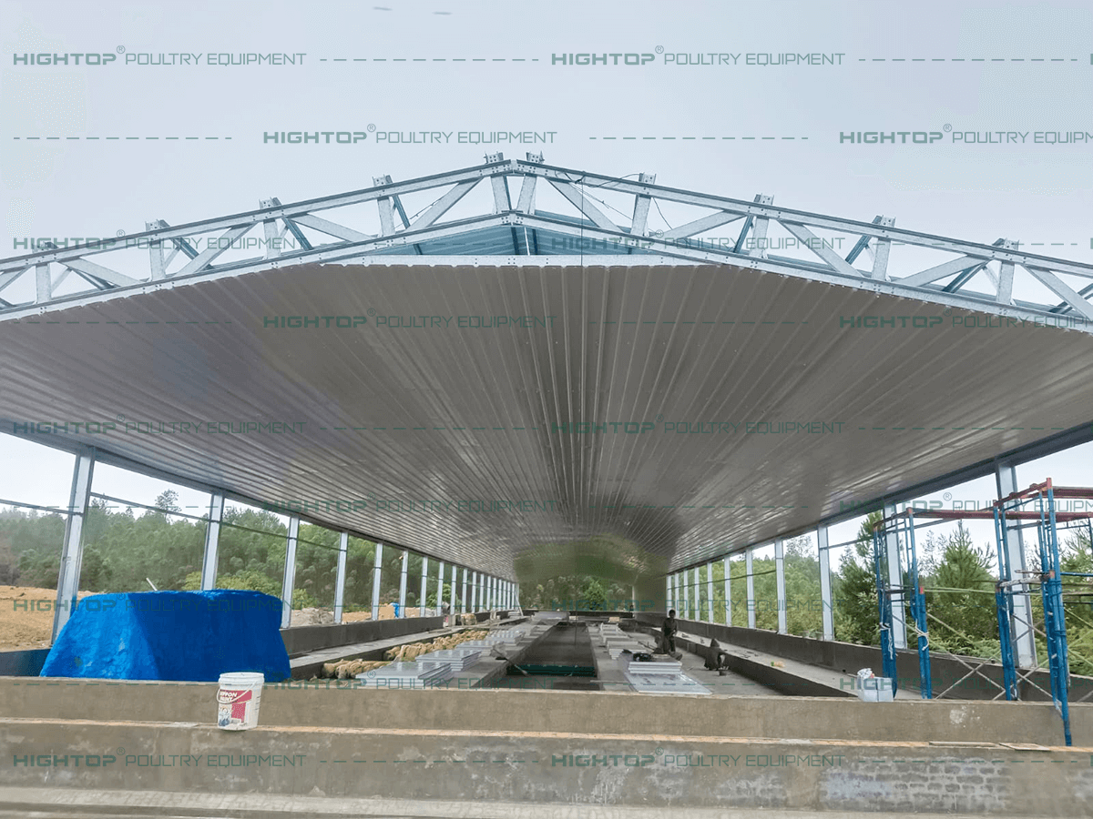 Prefabricated Steel Structure Poultry House in Kibaha, Coast Region, Tanzania: 30,720 Birds EPC Project