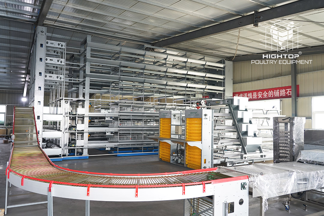 Automatic A-Type Layer Cage Project in Blitar, East Java, Indonesia: 20,000 Hens Tropical Farm