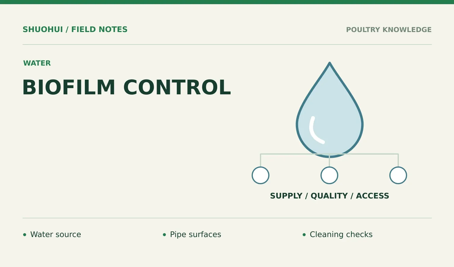 Biofilm Control: Water source, Pipe surfaces, Cleaning checks. Knowledge diagram for the article.