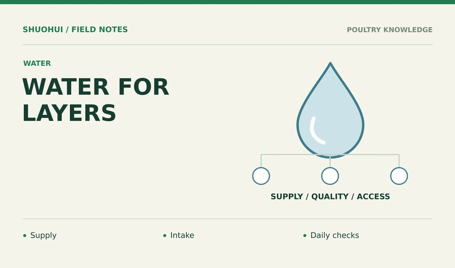 Water For Layers: Supply, Intake, Daily checks. Knowledge diagram for the article.