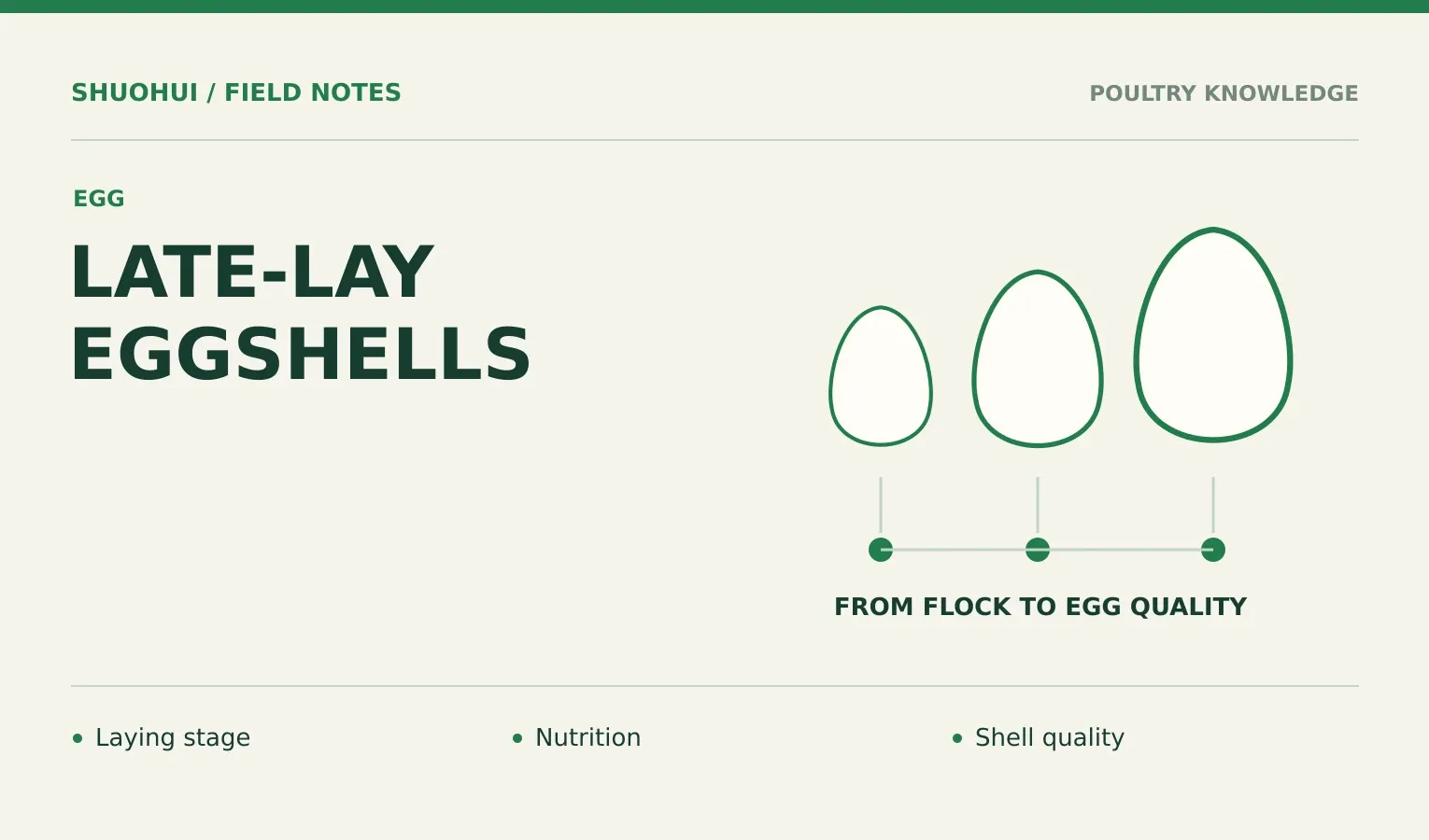 Late-Lay Eggshells: Laying stage, Nutrition, Shell quality. Knowledge diagram for the article.