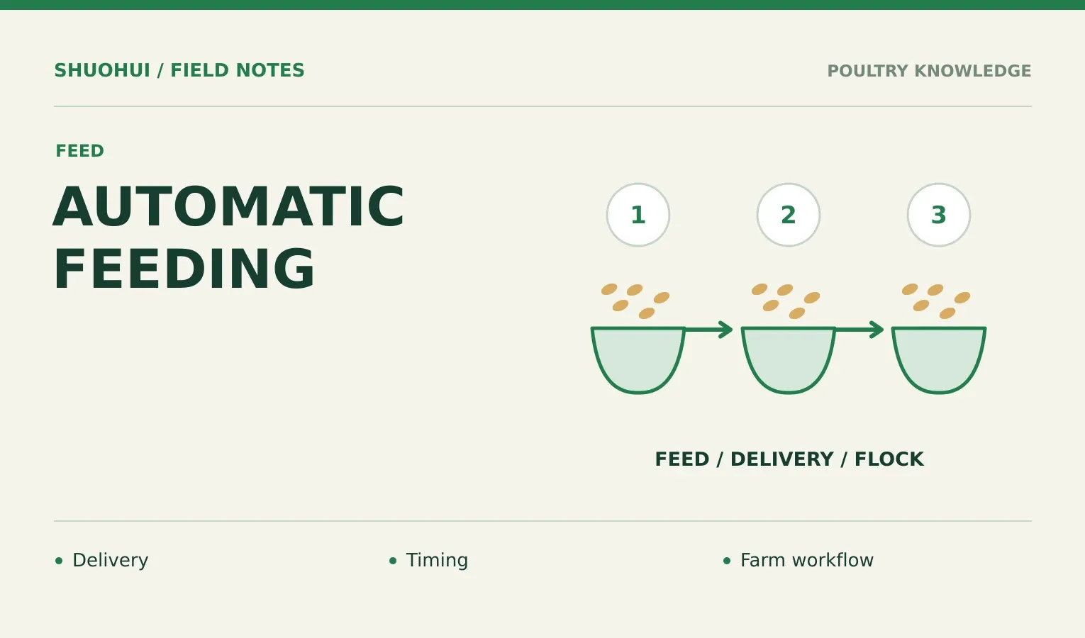 Automatic Feeding: Delivery, Timing, Farm workflow. Knowledge diagram for the article.