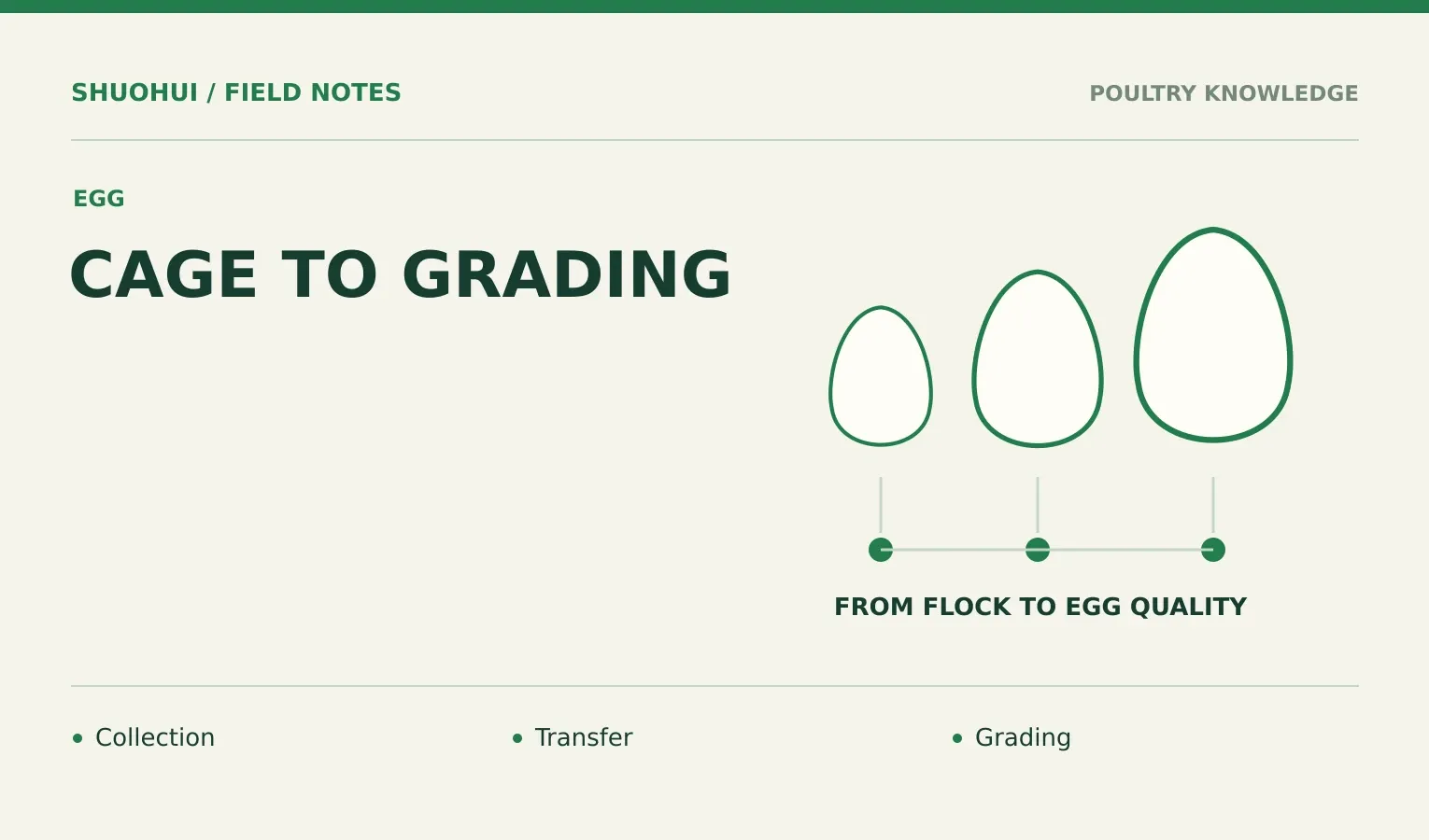 Cage To Grading: Collection, Transfer, Grading. Knowledge diagram for the article.