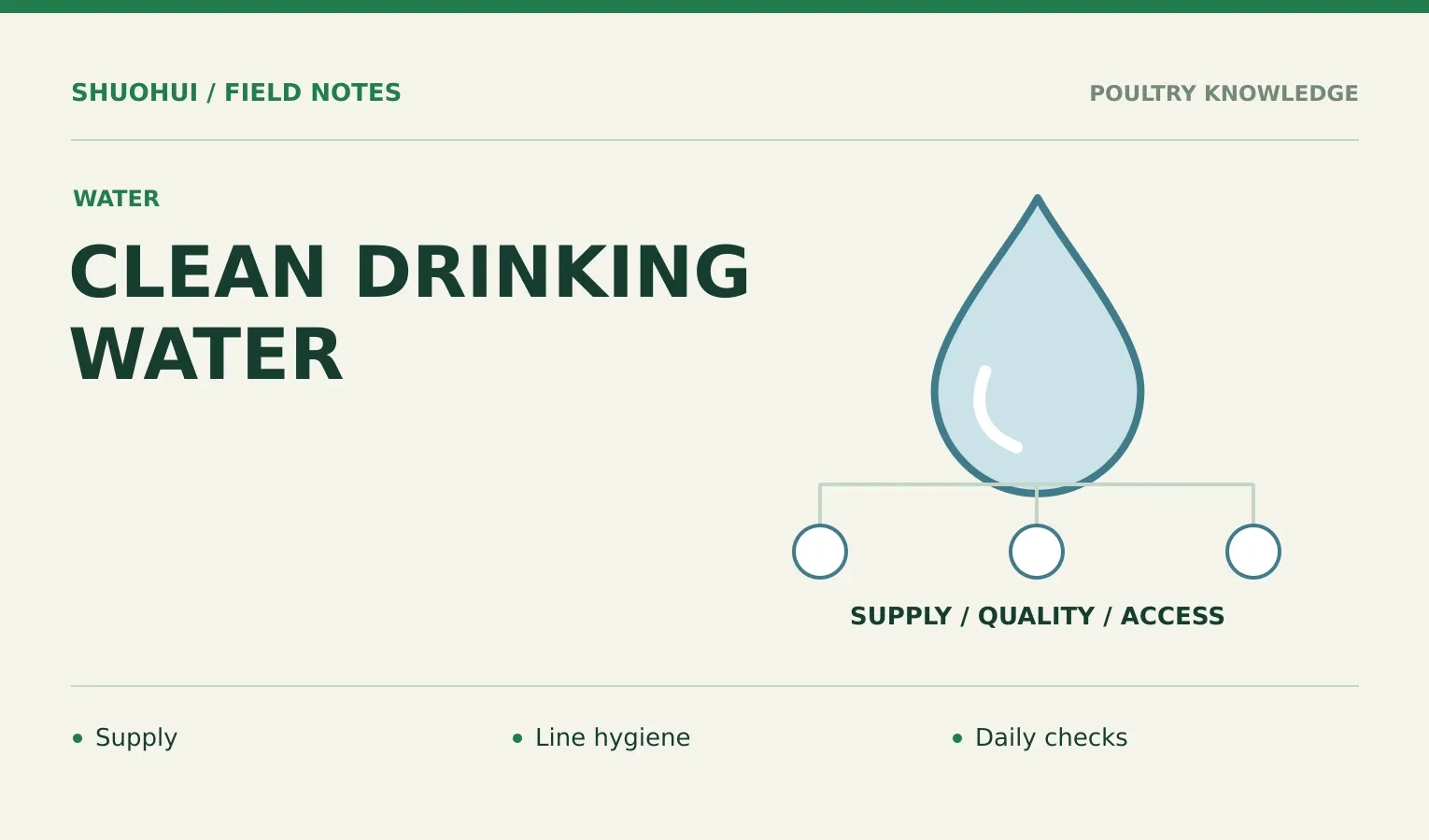 Clean Drinking Water: Supply, Line hygiene, Daily checks. Knowledge diagram for the article.