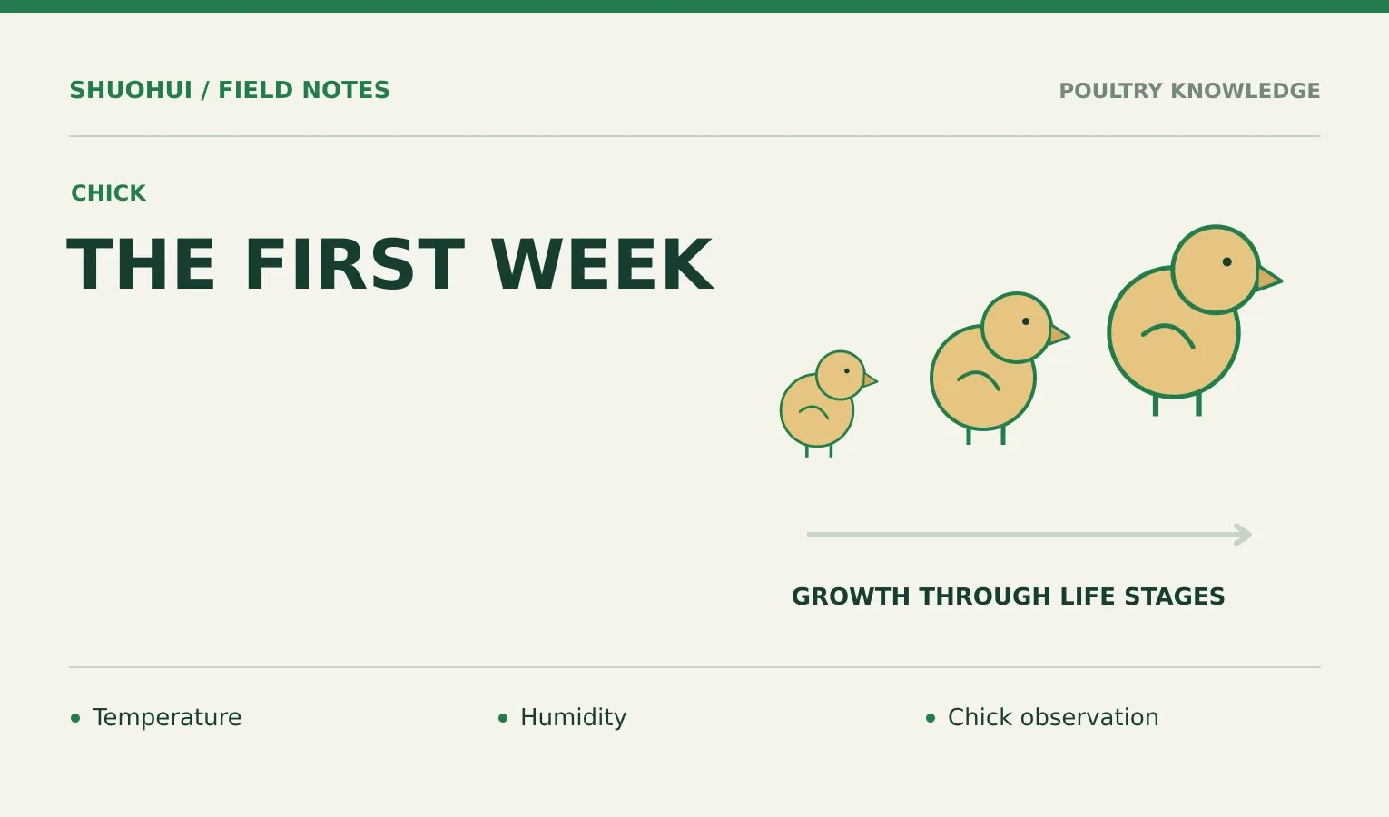 The First Week: Temperature, Humidity, Chick observation. Knowledge diagram for the article.