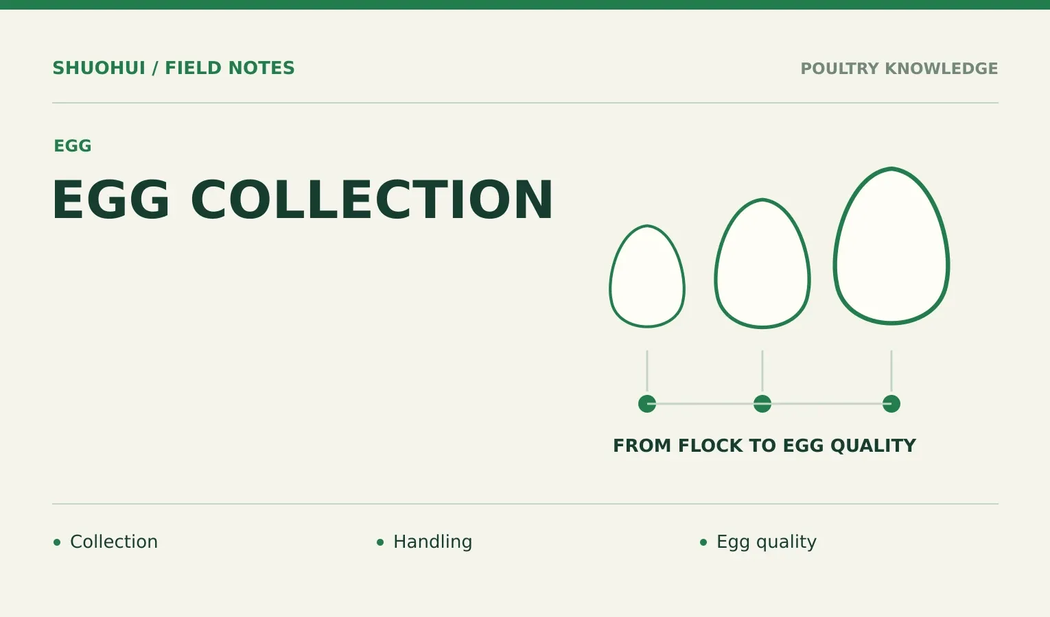 Egg Collection: Collection, Handling, Egg quality. Knowledge diagram for the article.