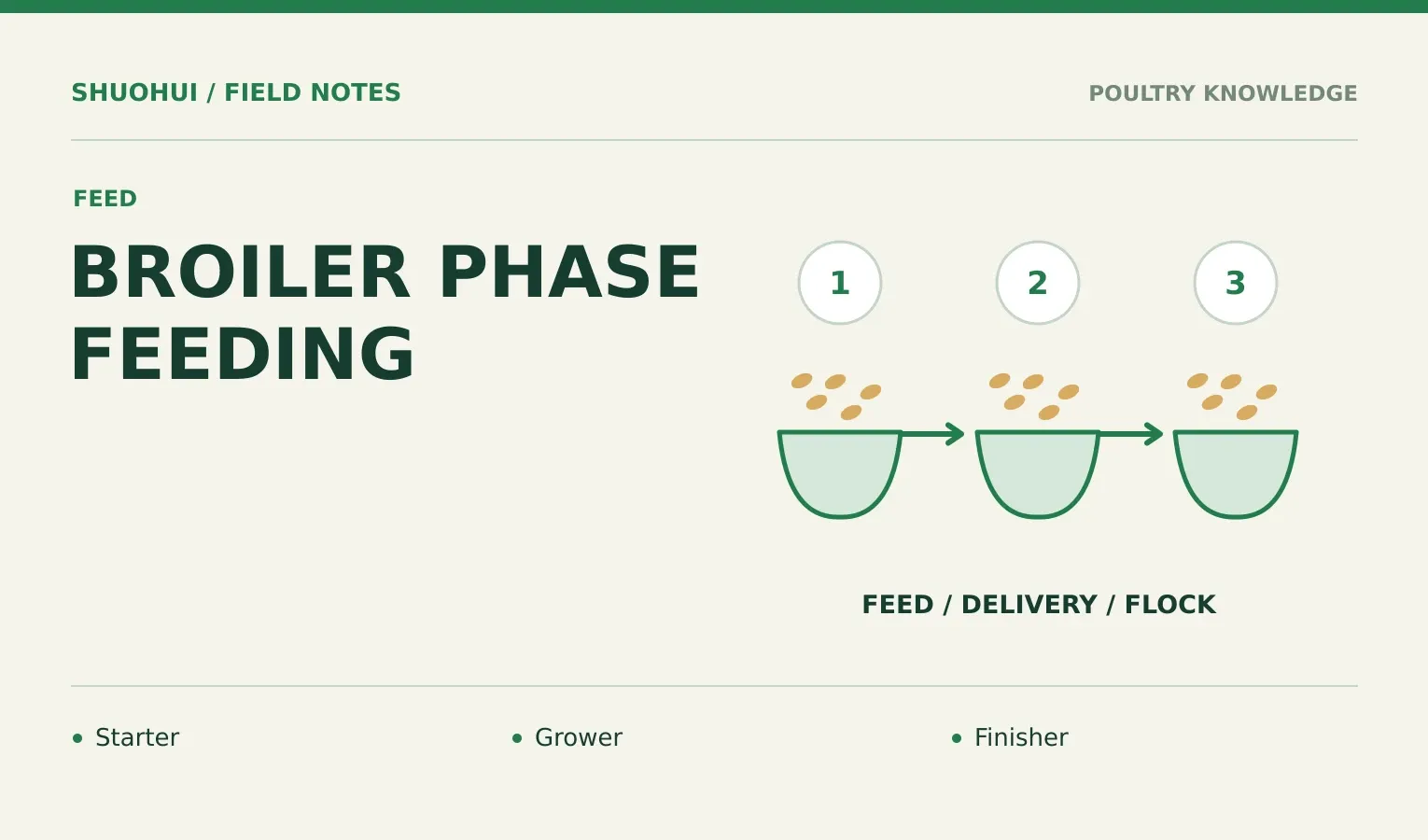 Broiler Phase Feeding: Starter, Grower, Finisher. Knowledge diagram for the article.