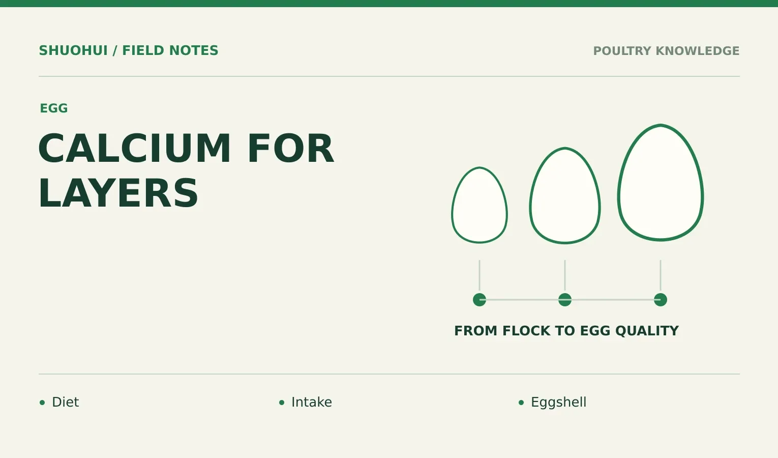 Calcium For Layers: Diet, Intake, Eggshell. Knowledge diagram for the article.
