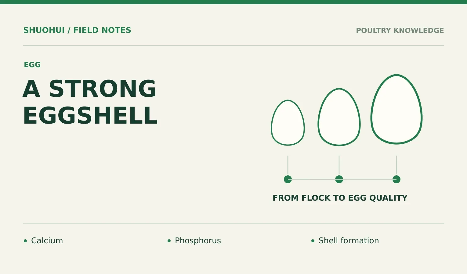 A Strong Eggshell: Calcium, Phosphorus, Shell formation. Knowledge diagram for the article.