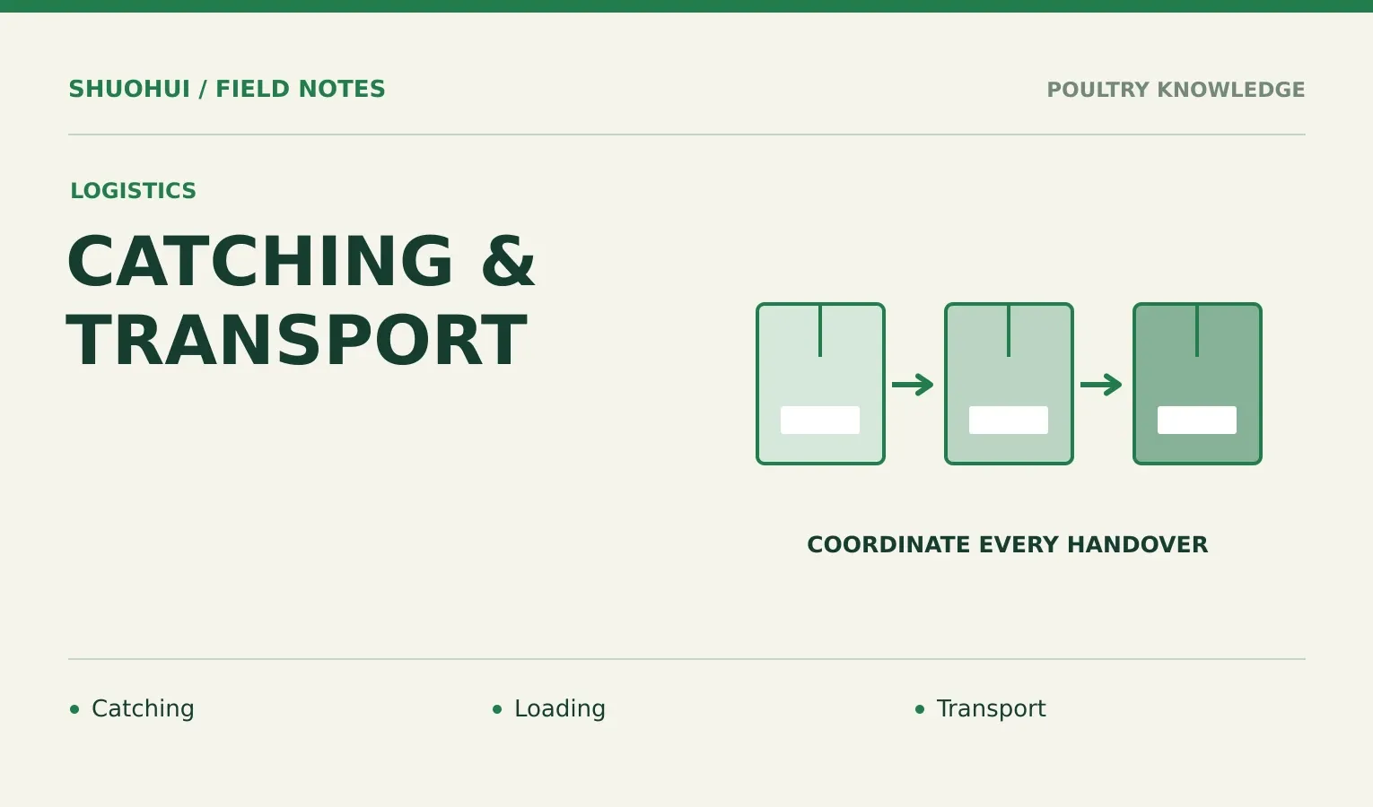 Catching & Transport: Catching, Loading, Transport. Knowledge diagram for the article.