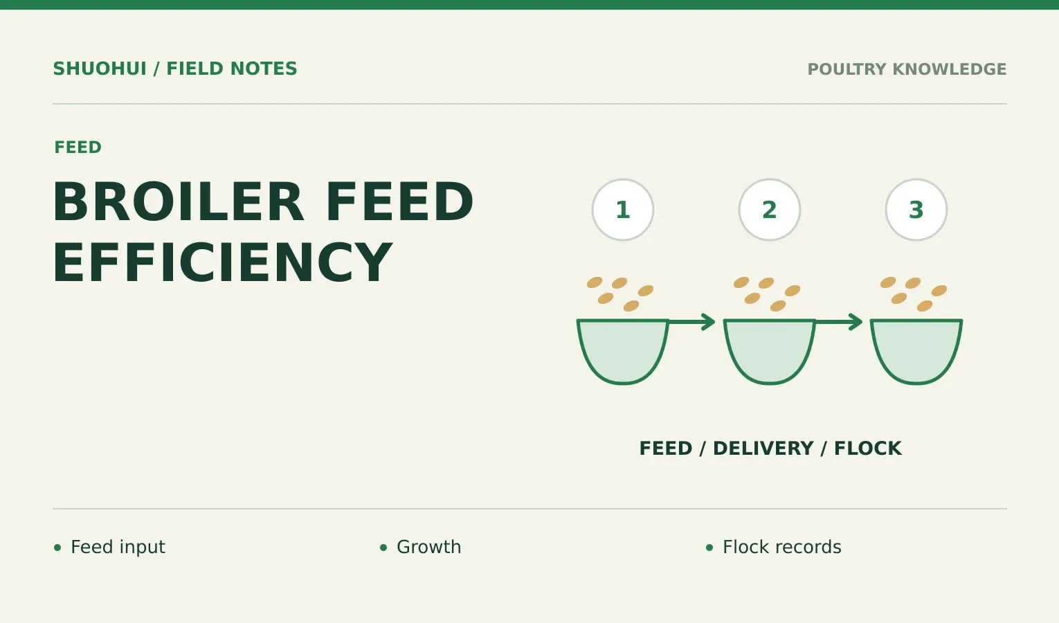 Broiler Feed Efficiency: Feed input, Growth, Flock records. Knowledge diagram for the article.