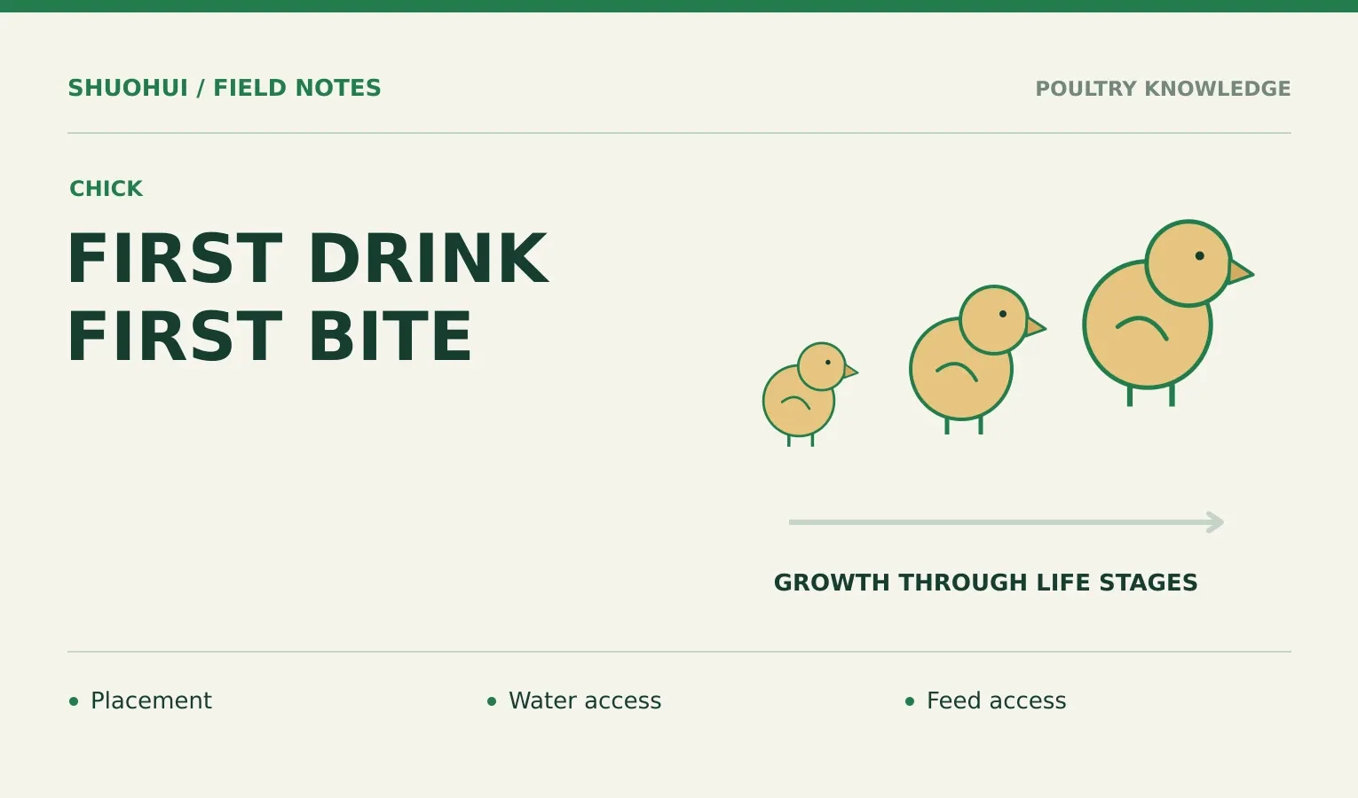 First Drink First Bite: Placement, Water access, Feed access. Knowledge diagram for the article.