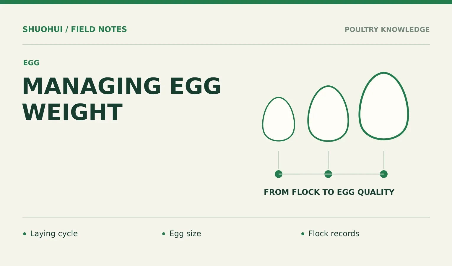 Managing Egg Weight: Laying cycle, Egg size, Flock records. Knowledge diagram for the article.