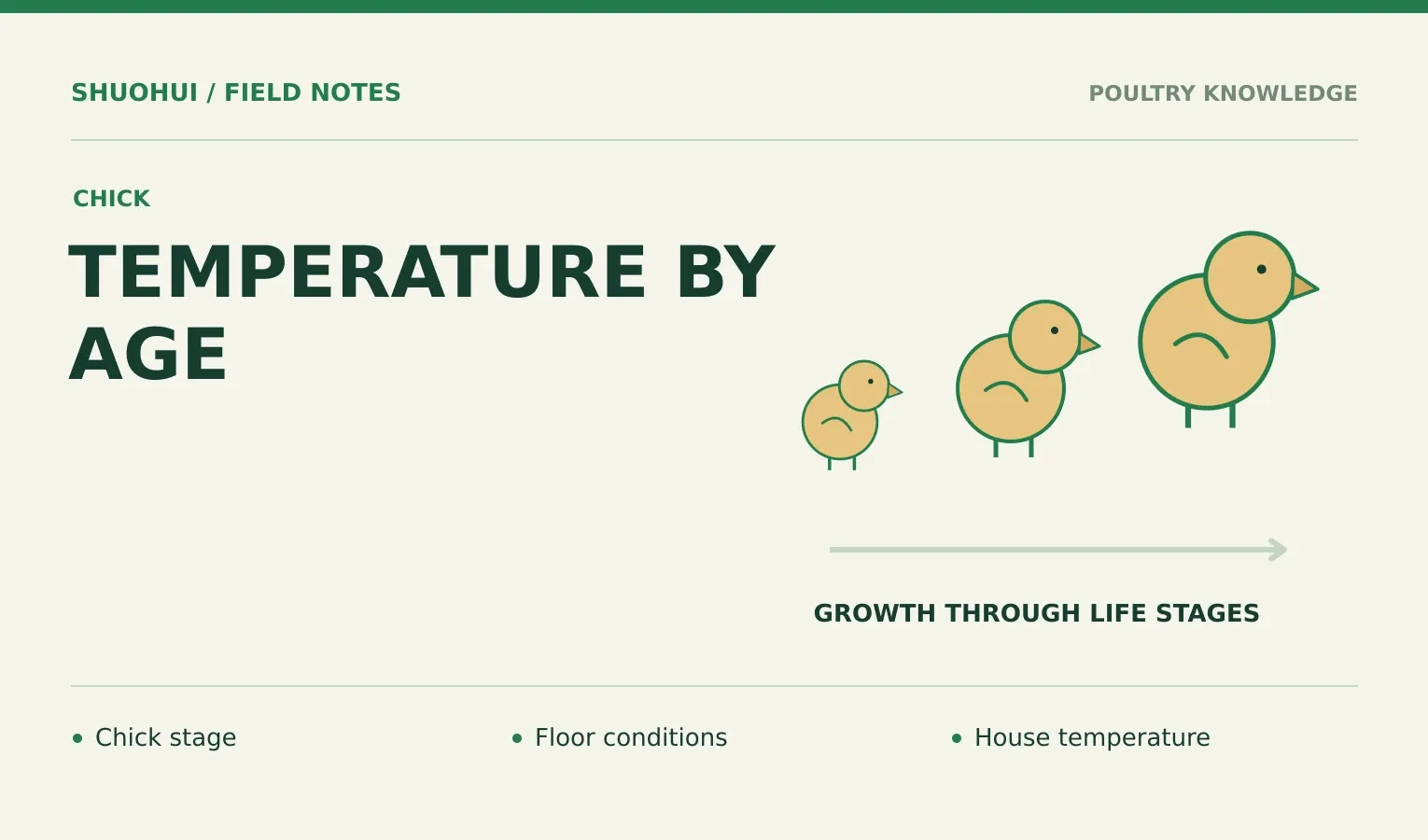 Temperature By Age: Chick stage, Floor conditions, House temperature. Knowledge diagram for the article.
