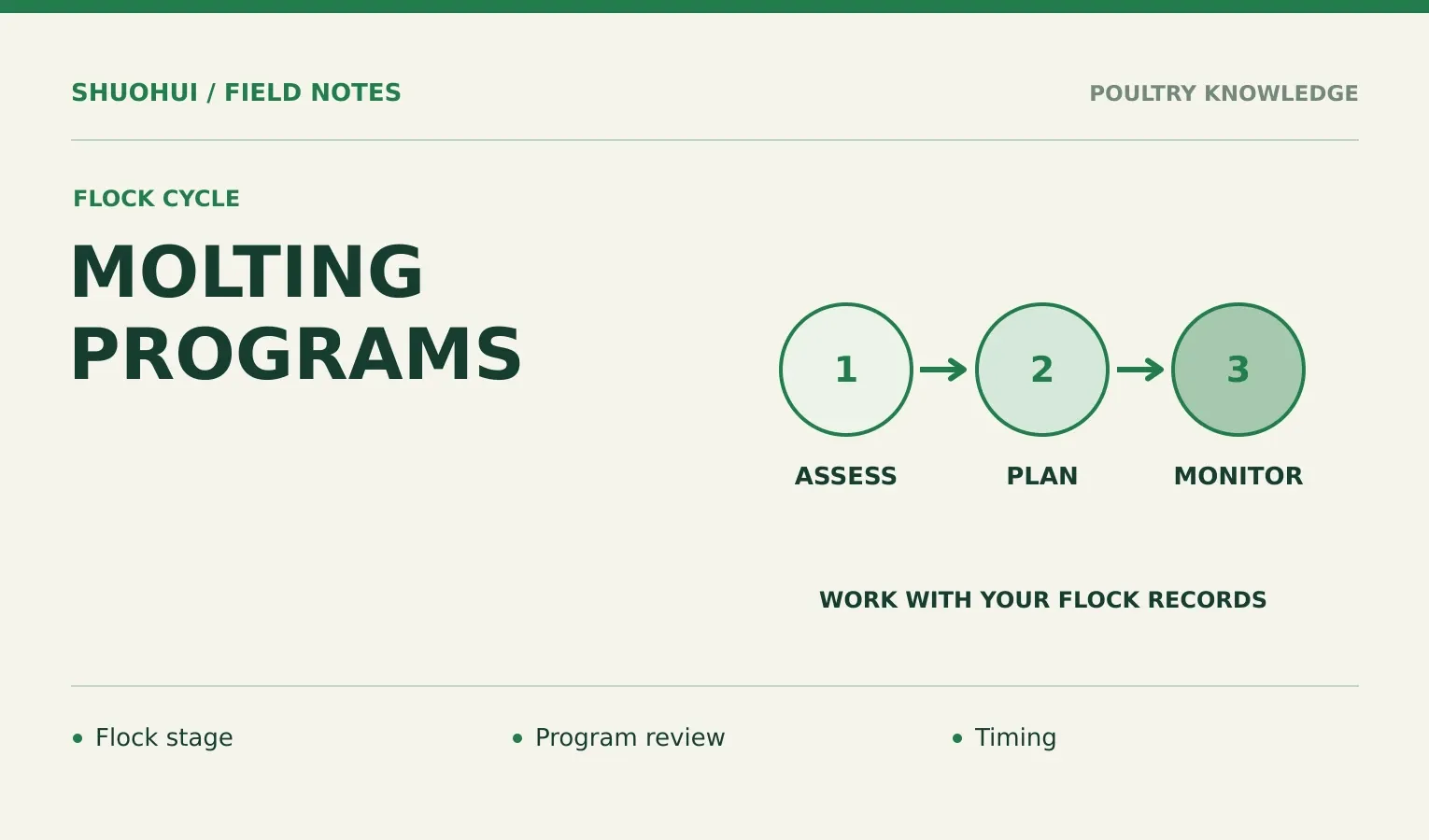 Molting Programs: Flock stage, Program review, Timing. Knowledge diagram for the article.