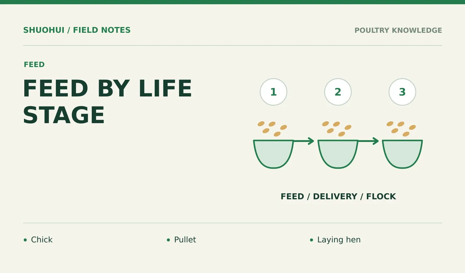 Feed By Life Stage: Chick, Pullet, Laying hen. Knowledge diagram for the article.