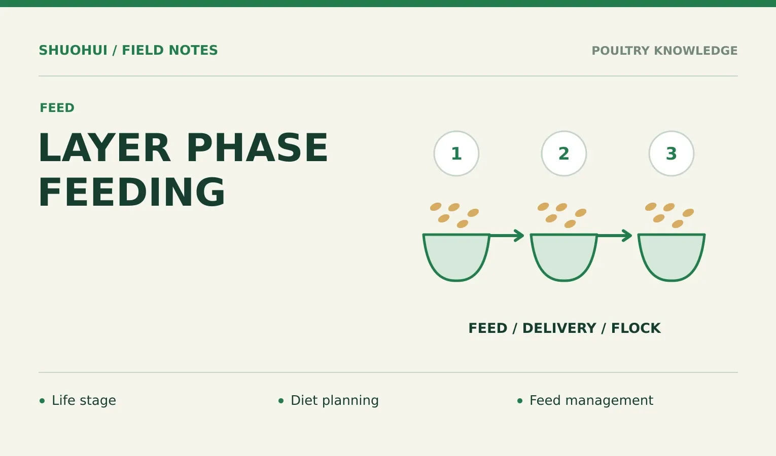 Layer Phase Feeding: Life stage, Diet planning, Feed management. Knowledge diagram for the article.