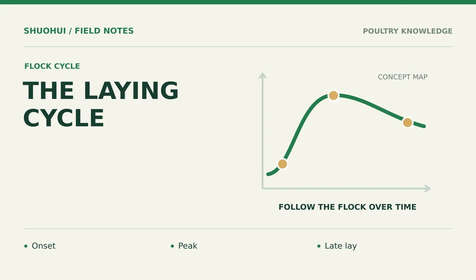 The Laying Cycle: Onset, Peak, Late lay. Knowledge diagram for the article.