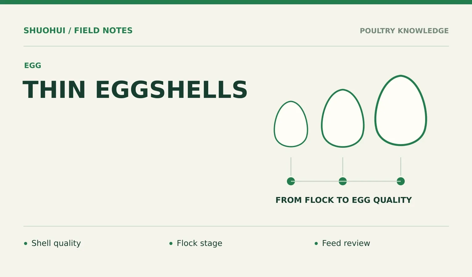 Thin Eggshells: Shell quality, Flock stage, Feed review. Knowledge diagram for the article.