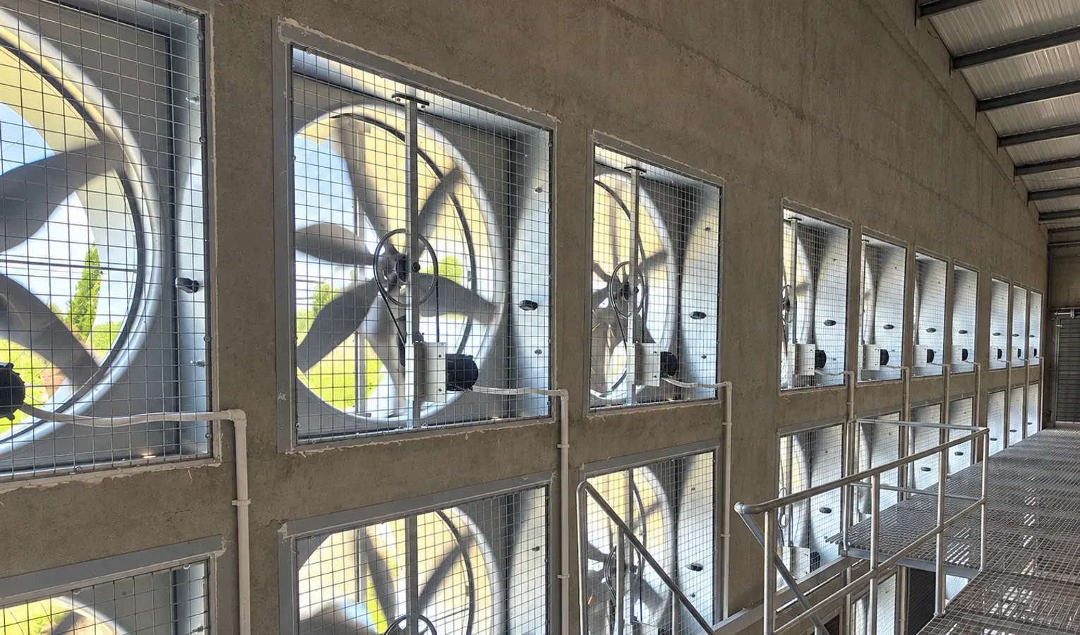 Poultry Ventilation Modes: Cross, Transition and Tunnel