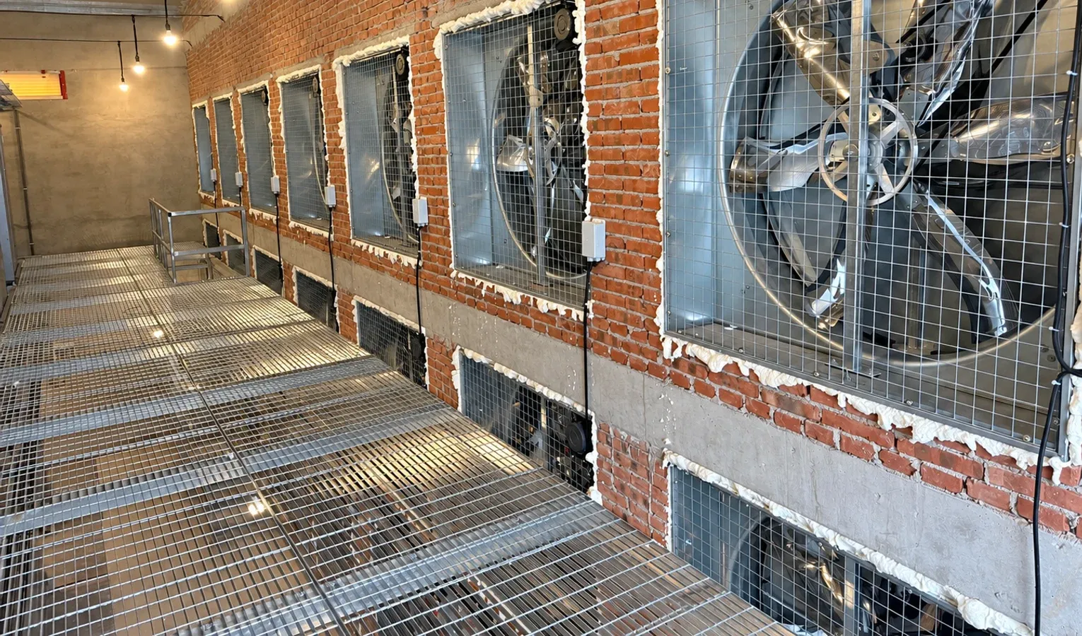 Poultry Air Speed and Effective Temperature