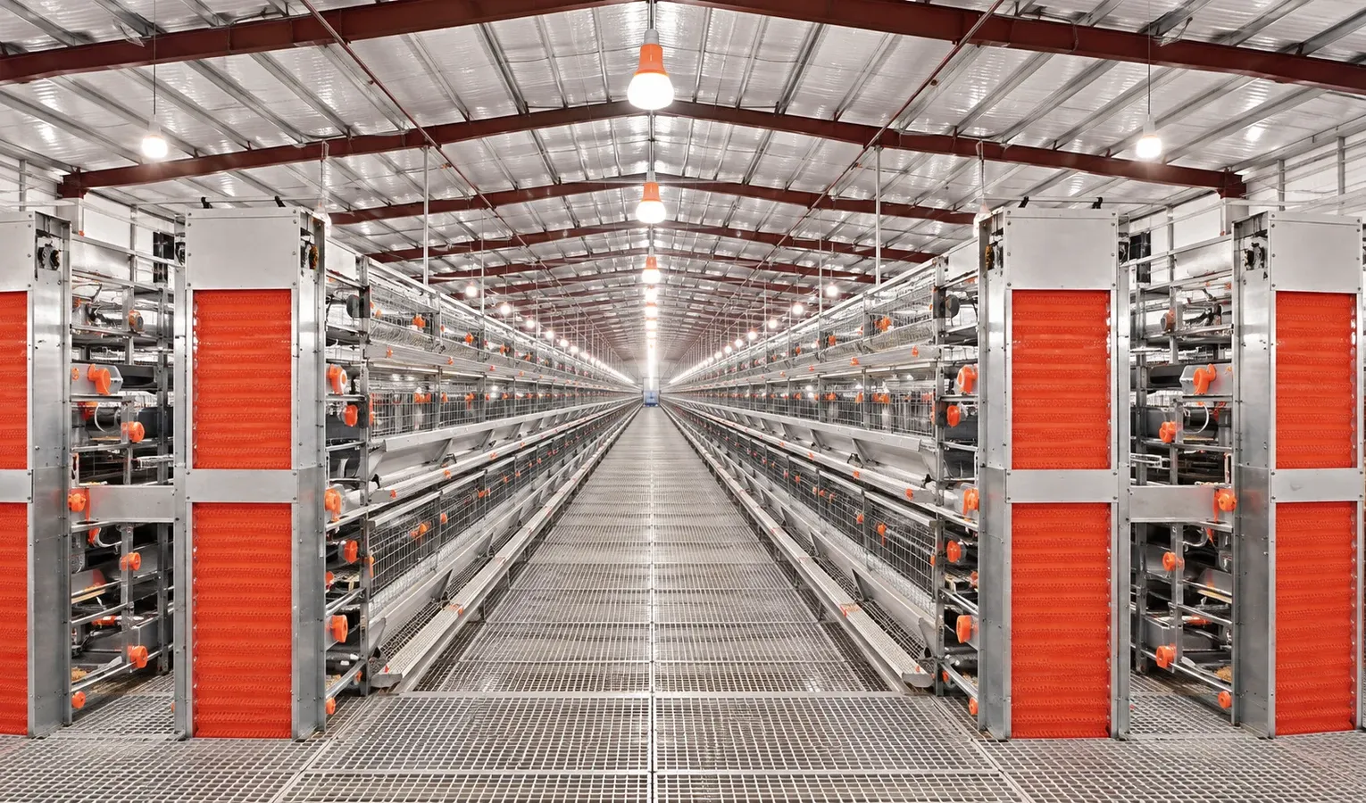 Layer Cage Capacity: Rows, Tiers and House Area