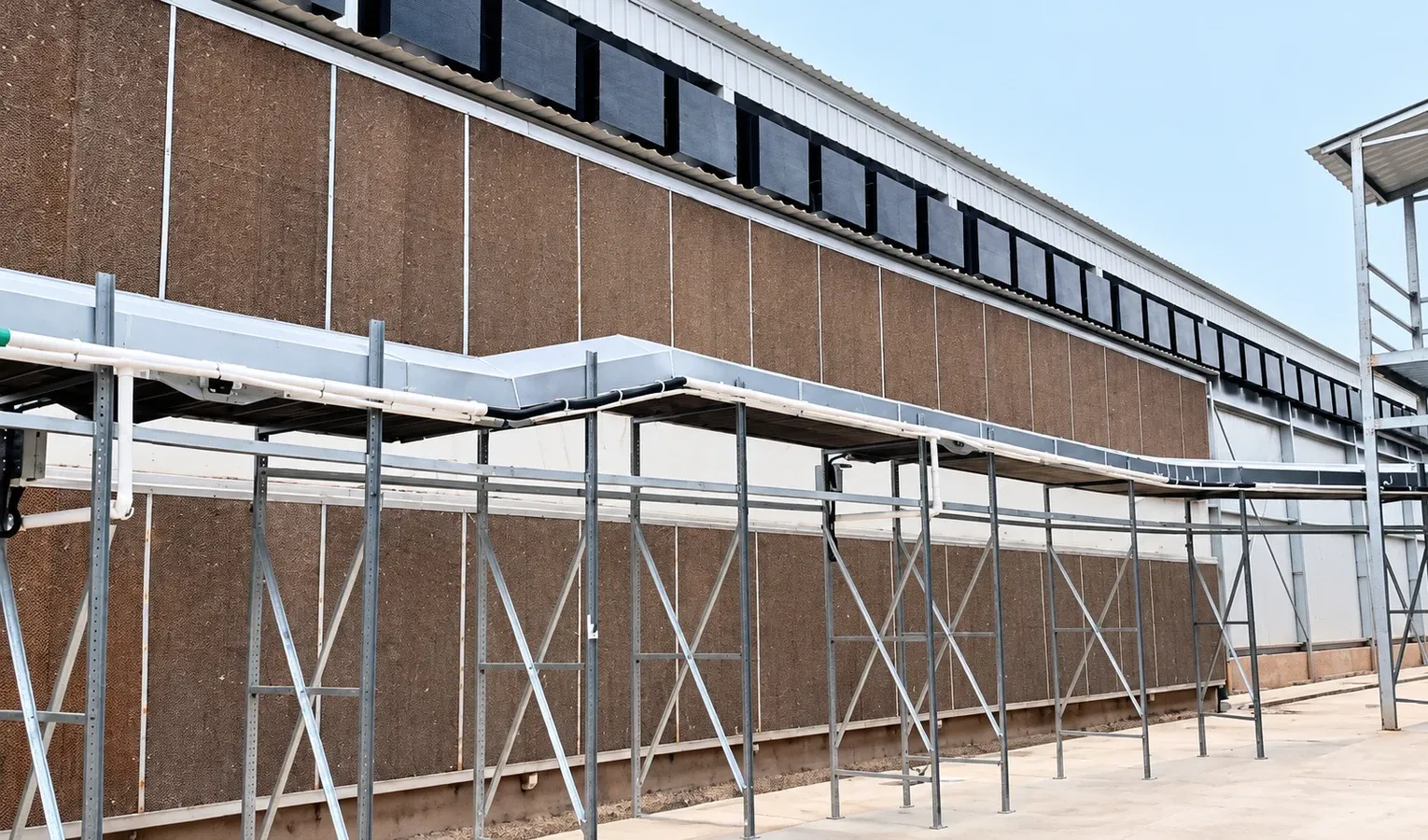 Poultry Climate Control: Ventilation and Cooling