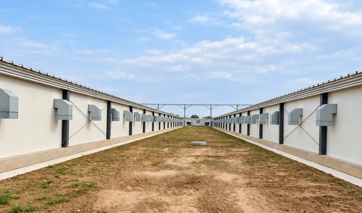 Broiler Cages vs Floor Rearing: Comparing Whole Systems