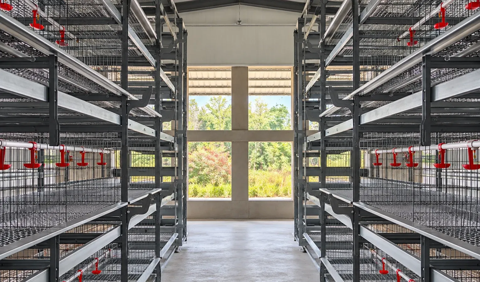 Poultry Drinking Lines: Supply, Access and Cleaning