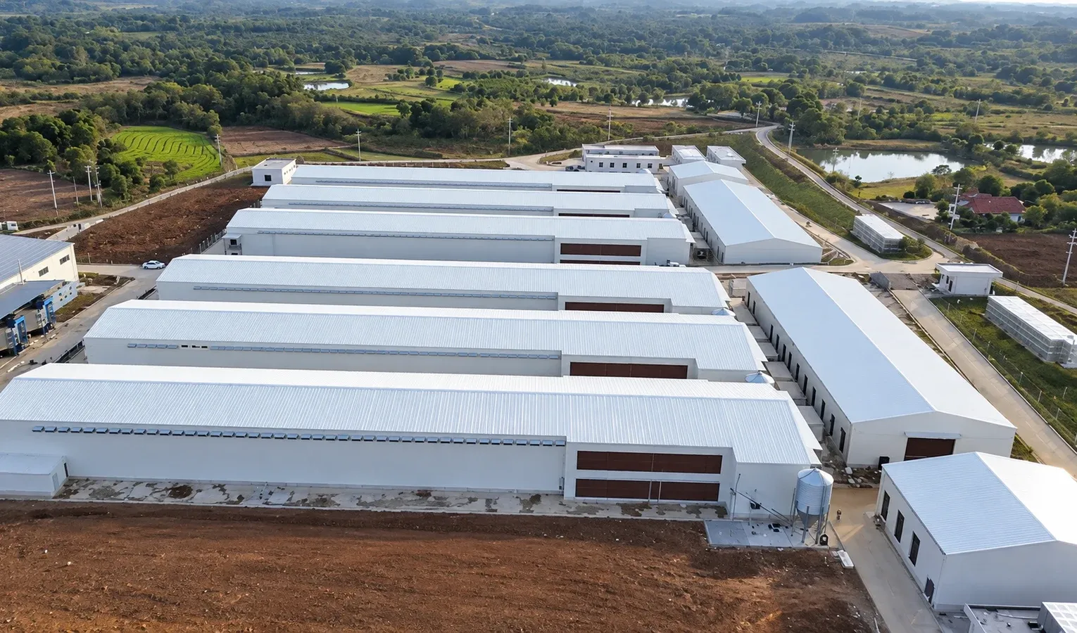 Poultry Farm Capacity: House and Equipment Constraints