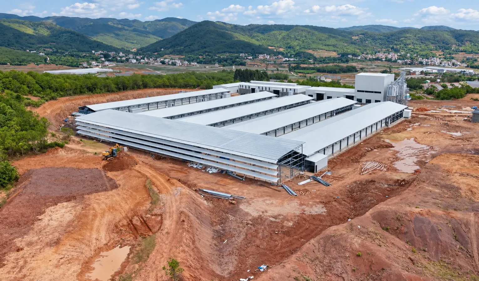 First Poultry Farm Investment: Mistakes to Avoid