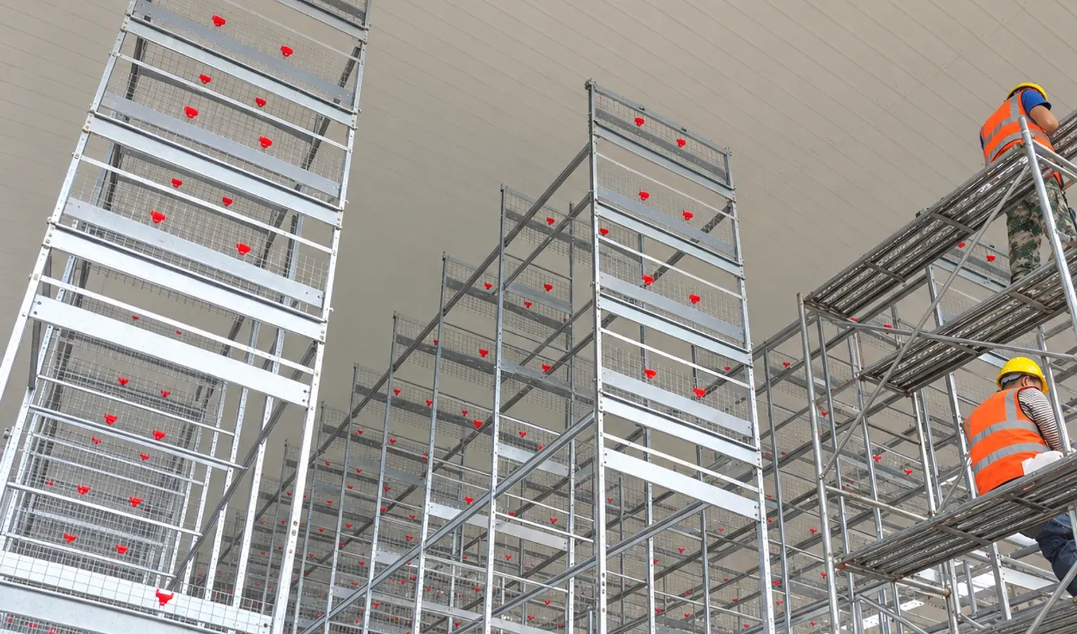 How to Choose a Poultry Equipment Supplier