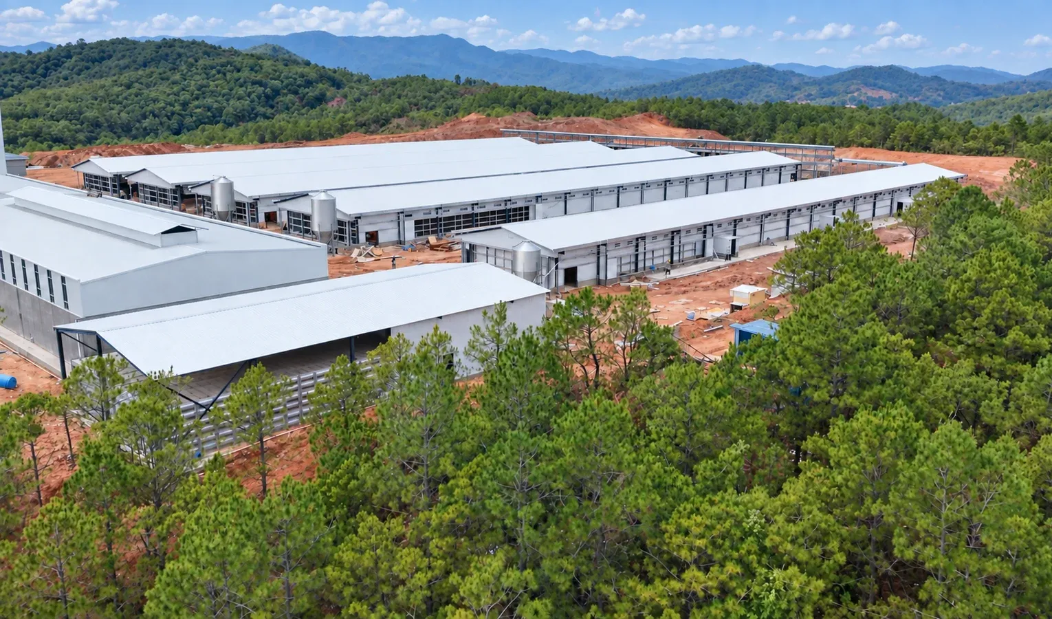 Layers or Broilers: Choosing a Poultry Business Model
