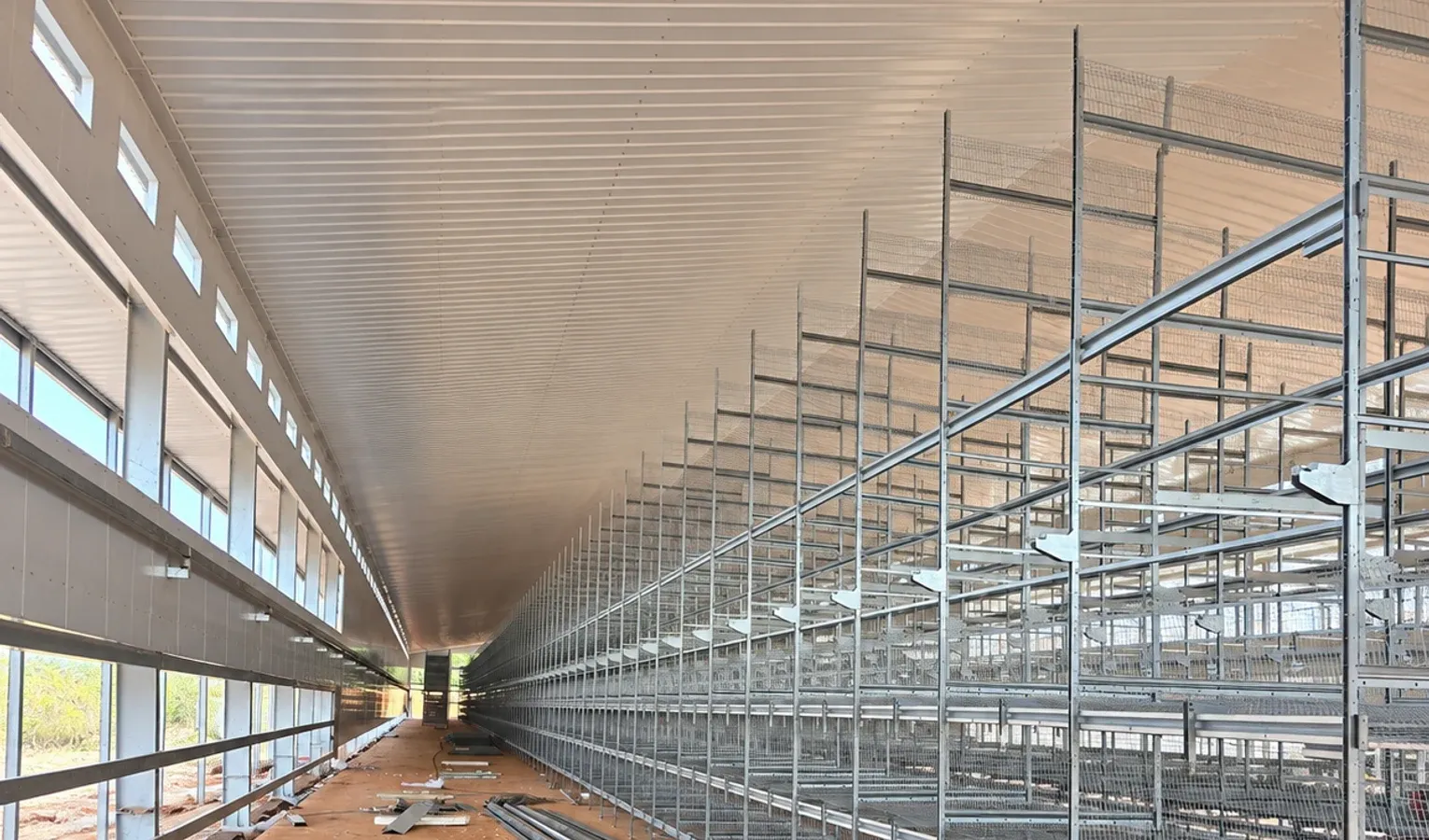 Layer Cage System Cost: What Is Included in the Price?