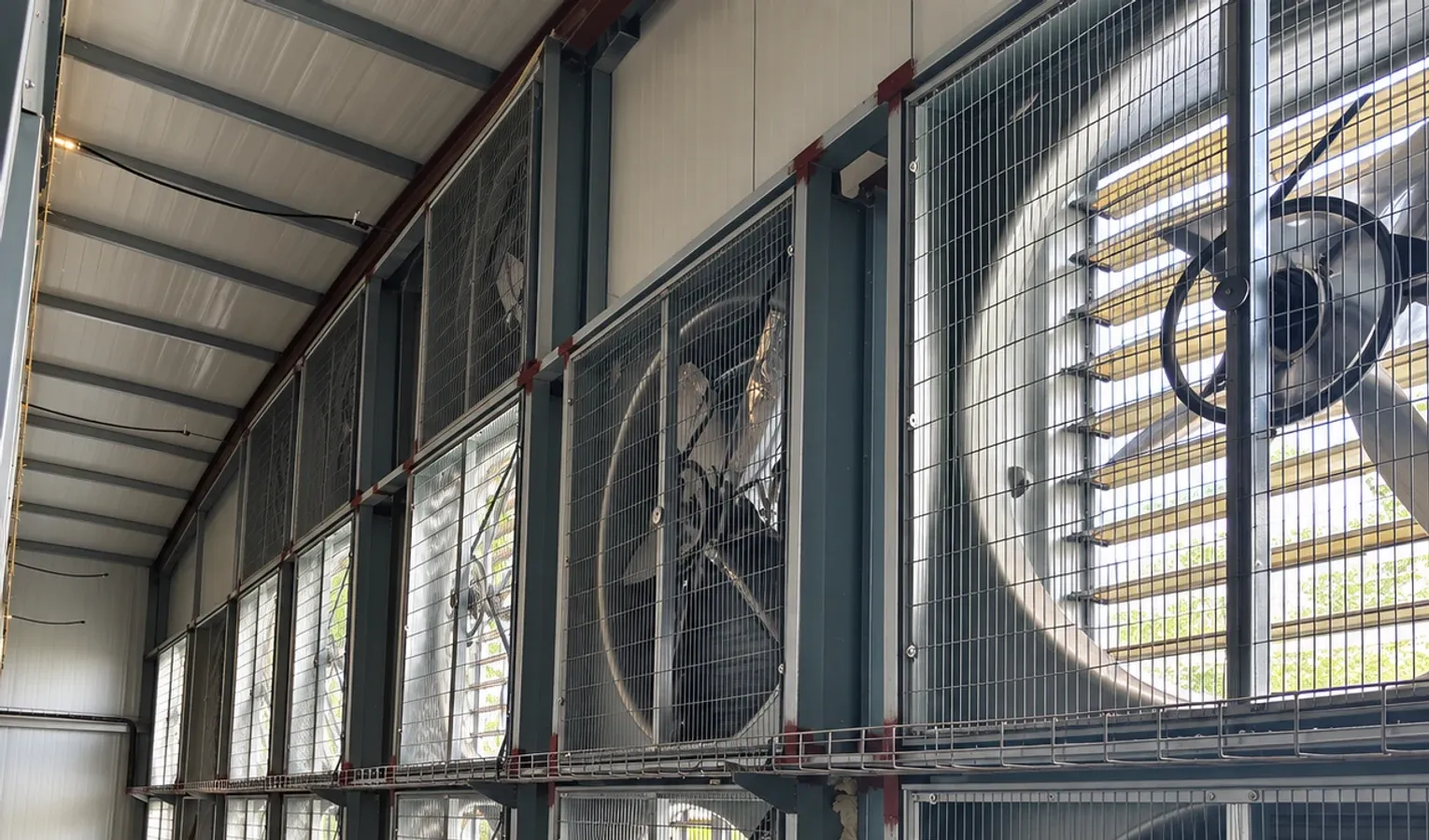 Poultry House Air Quality: Ammonia and Gas Monitoring