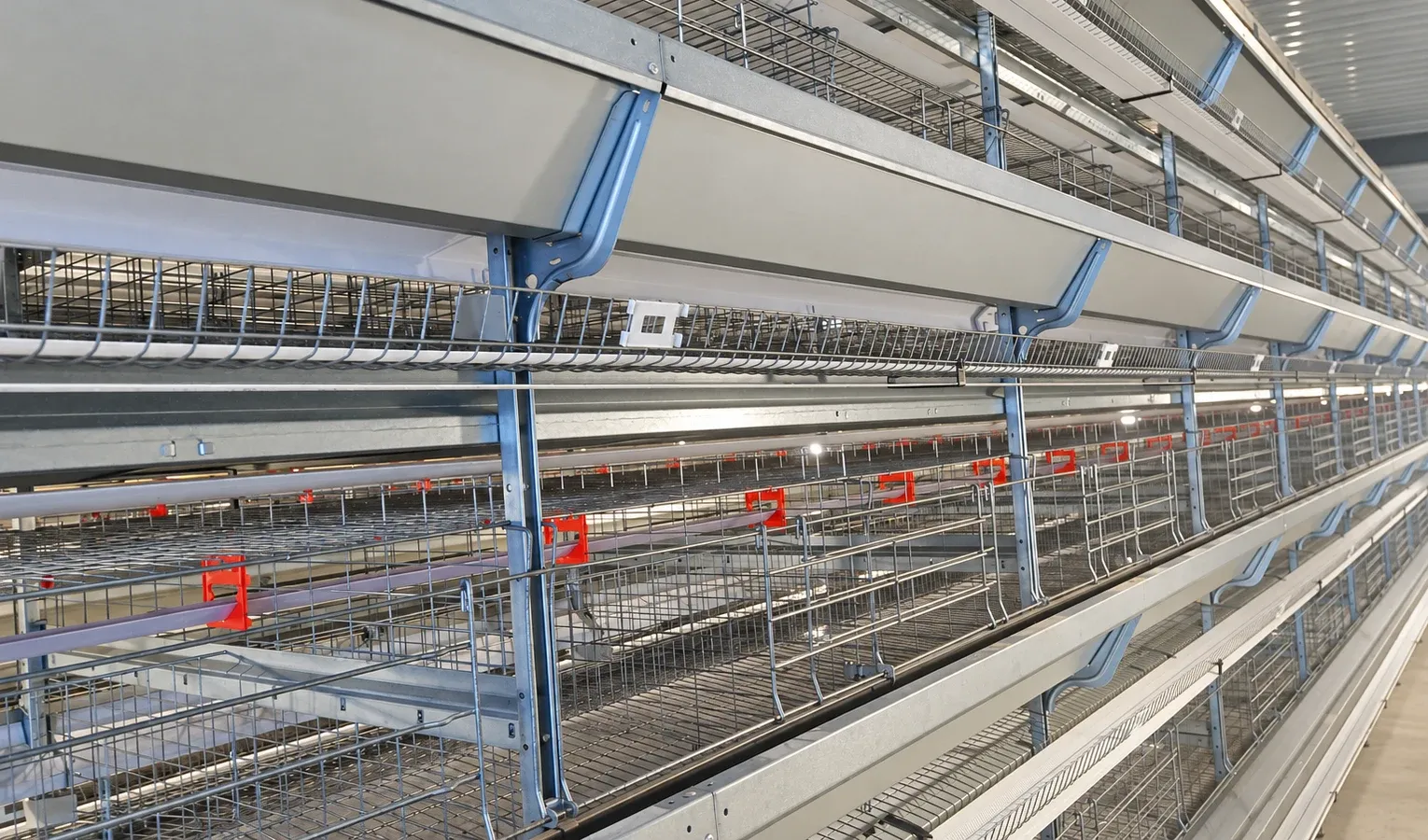 Automatic Poultry Feeding: Comparing Delivery Systems