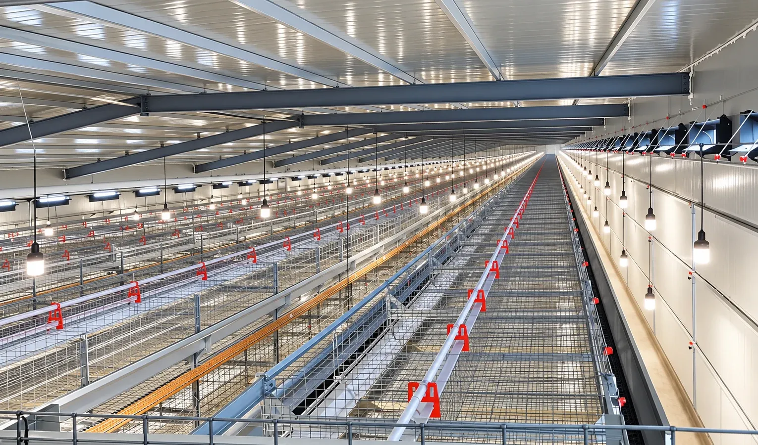 Broiler Air Speed and Lighting Through the Cycle