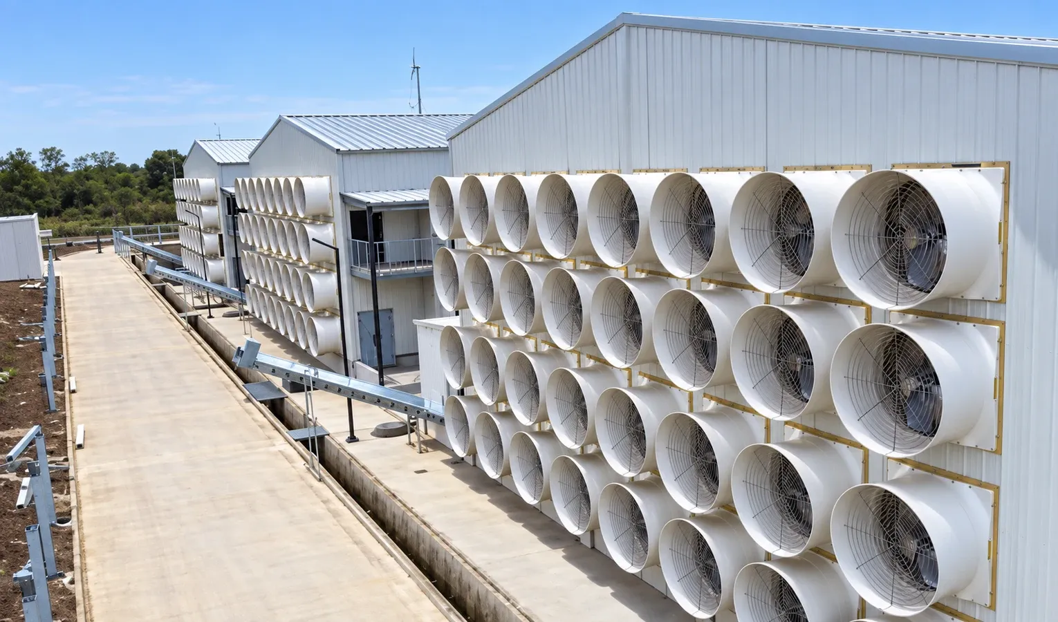 Poultry Heat Stress: Production and Cooling Decisions