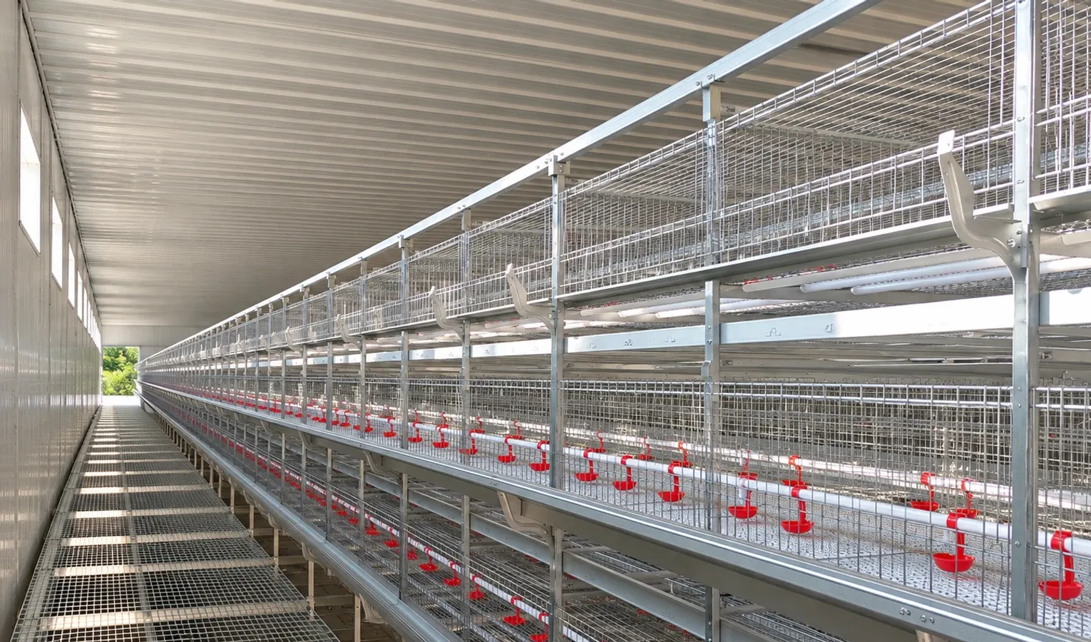 Poultry Brooding Temperature: Air, Floor and Bird Checks