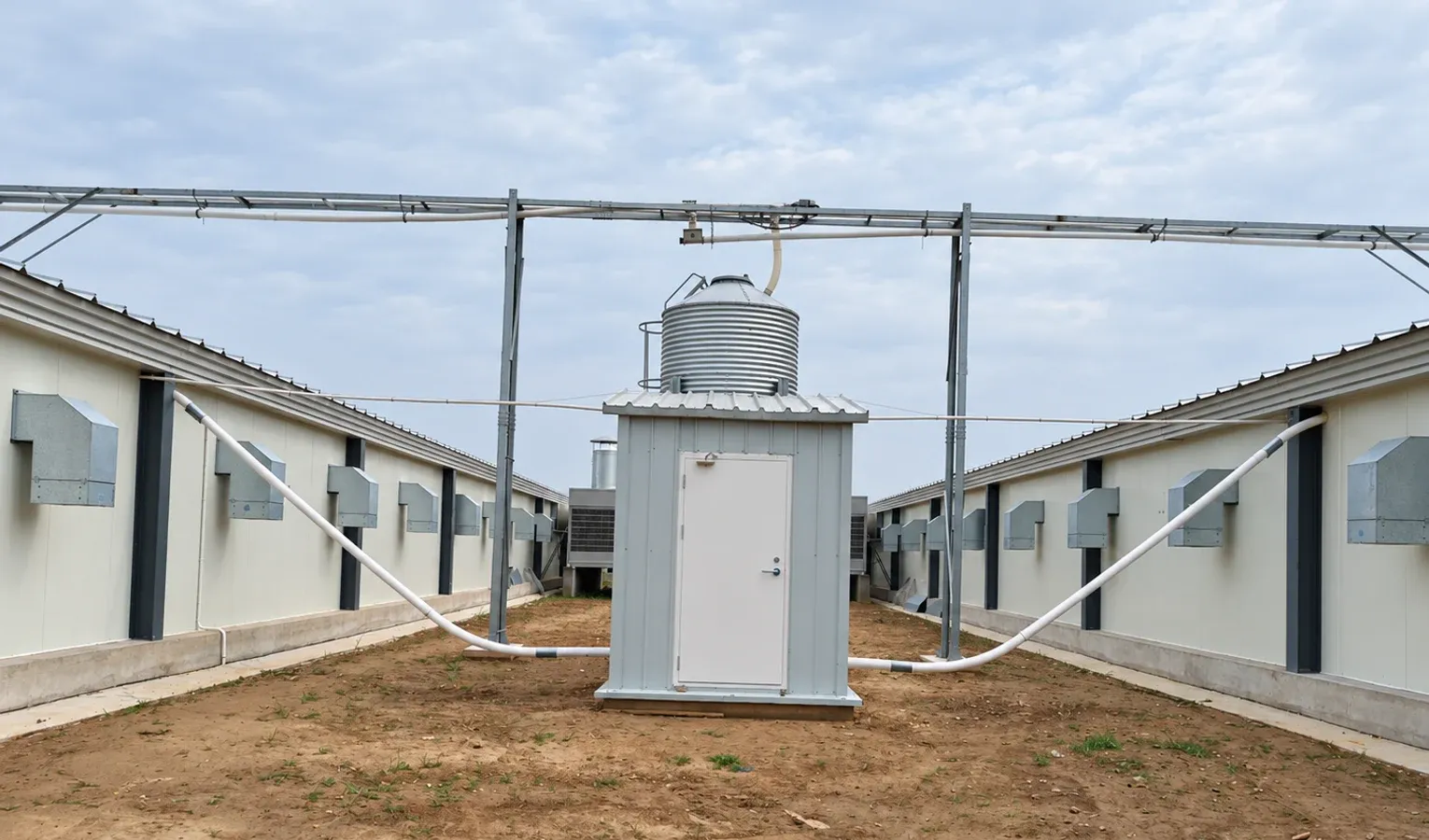 Poultry Litter and Humidity: Monitoring Moisture