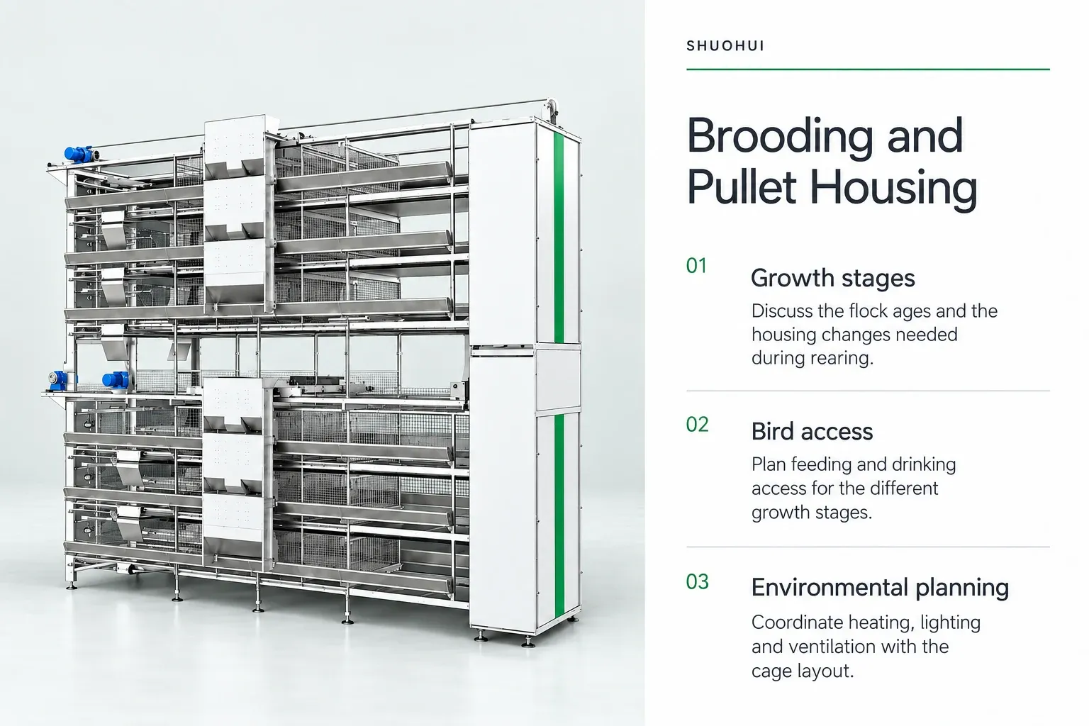 Brooding and Pullet Housing: Growth stages, Bird access, Environmental planning.