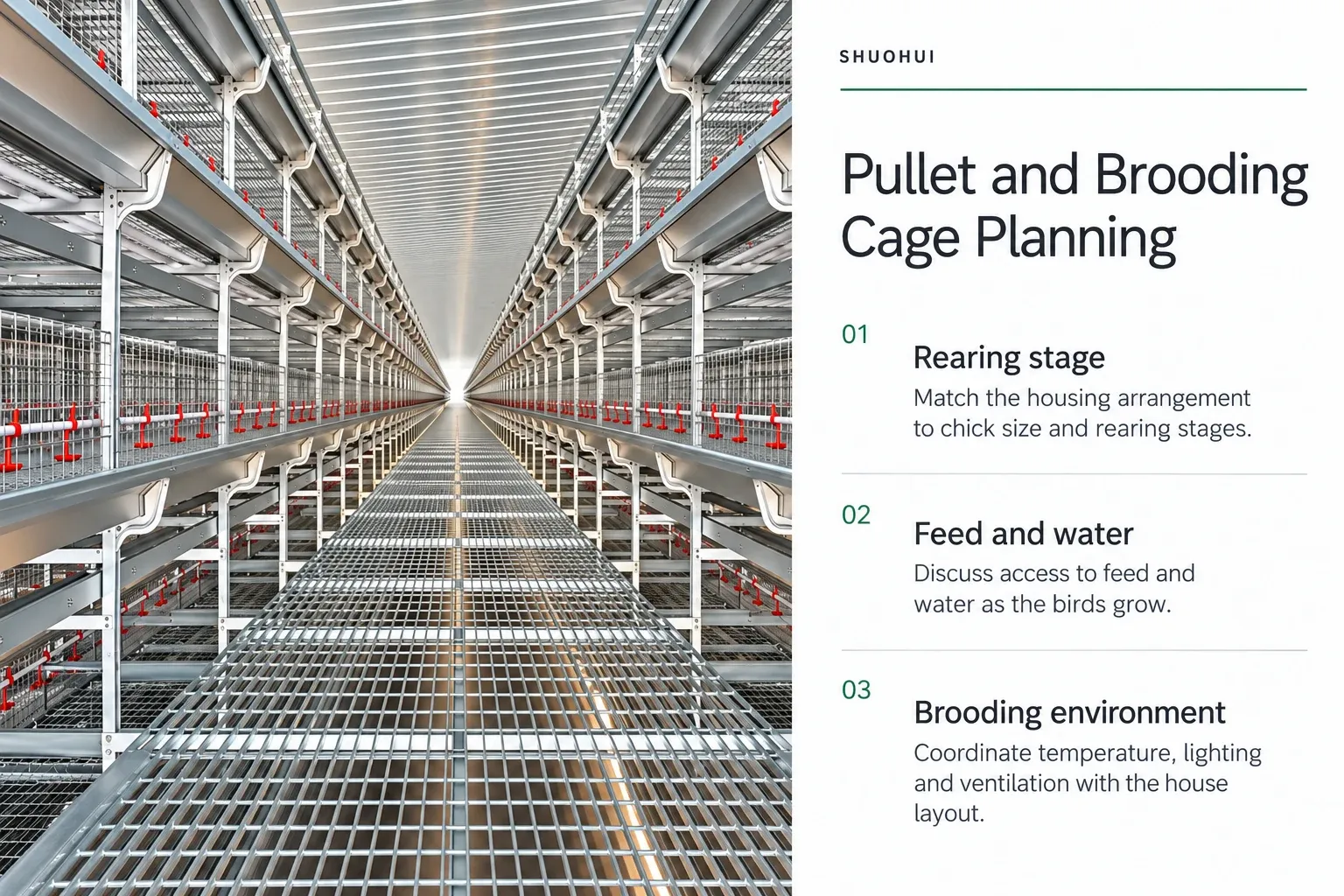 Pullet and Brooding Cage Planning: Rearing stage, Feed and water, Brooding environment.