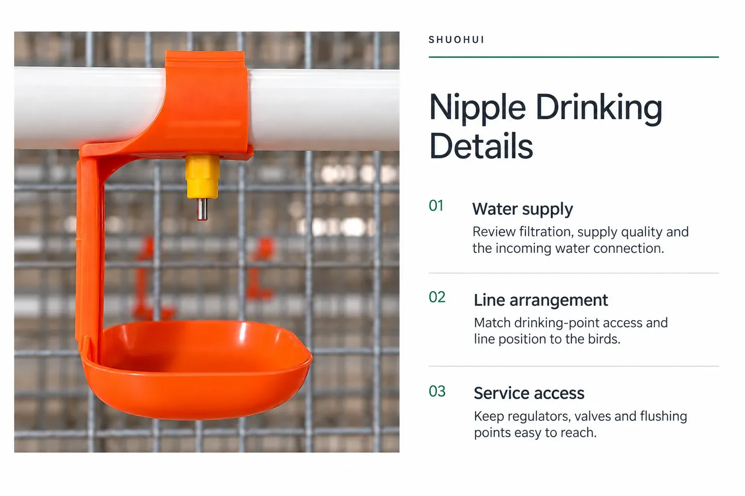 Nipple Drinking Details: Water supply, Line arrangement, Service access.