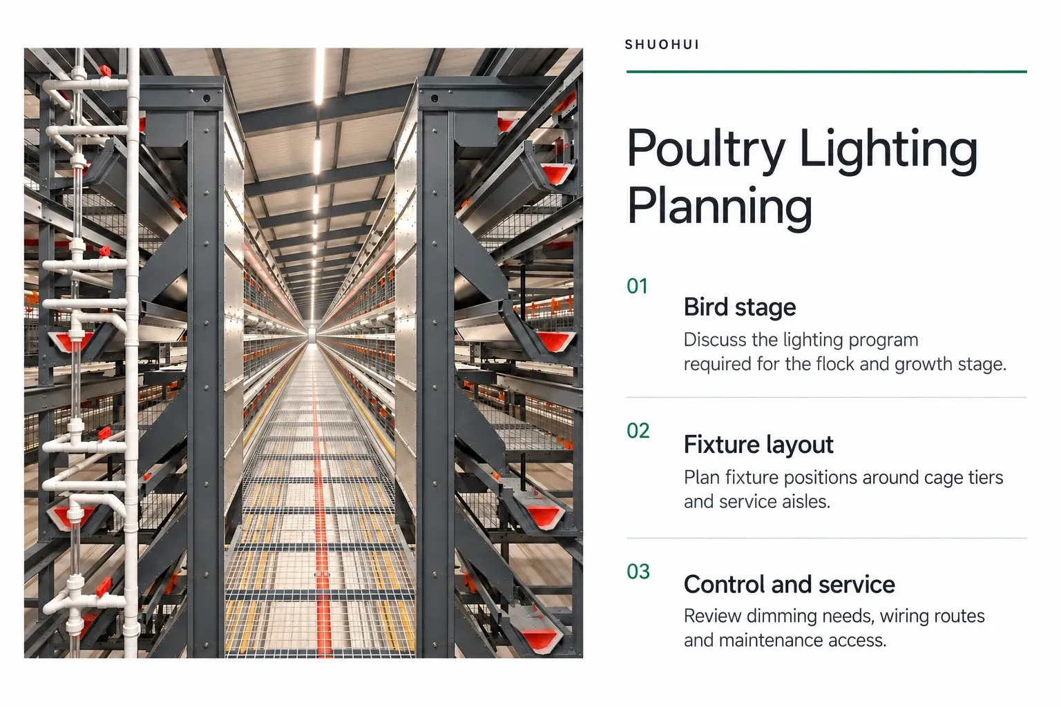 Poultry Lighting Planning: Bird stage, Fixture layout, Control and service.
