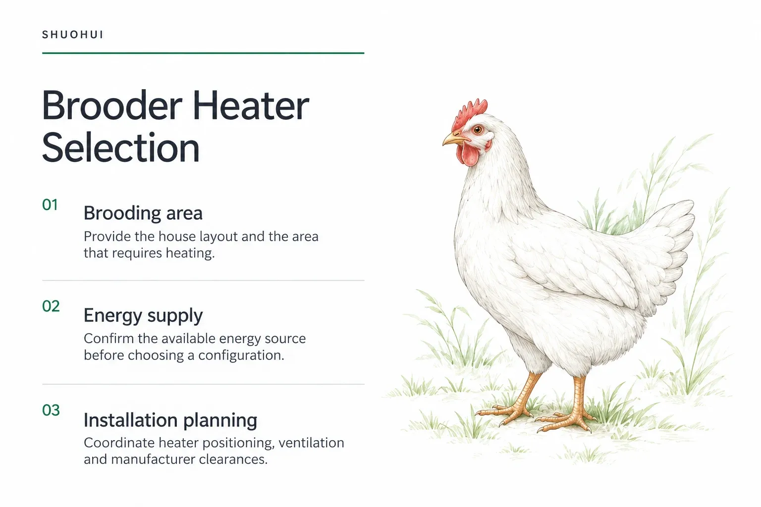 Brooder Heater Selection: Brooding area, Energy supply, Installation planning.