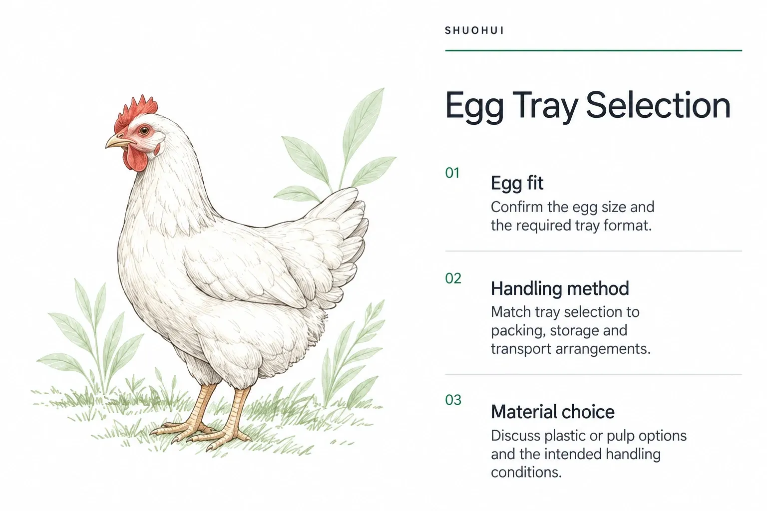 Egg Tray Selection: Egg fit, Handling method, Material choice.