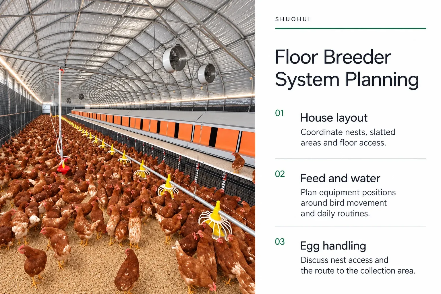 Floor Breeder System Planning: House layout, Feed and water, Egg handling.