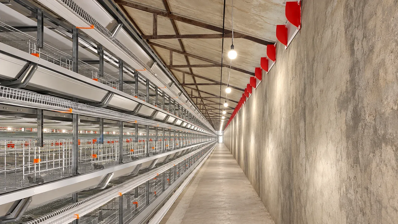 Side service walkway beside poultry equipment