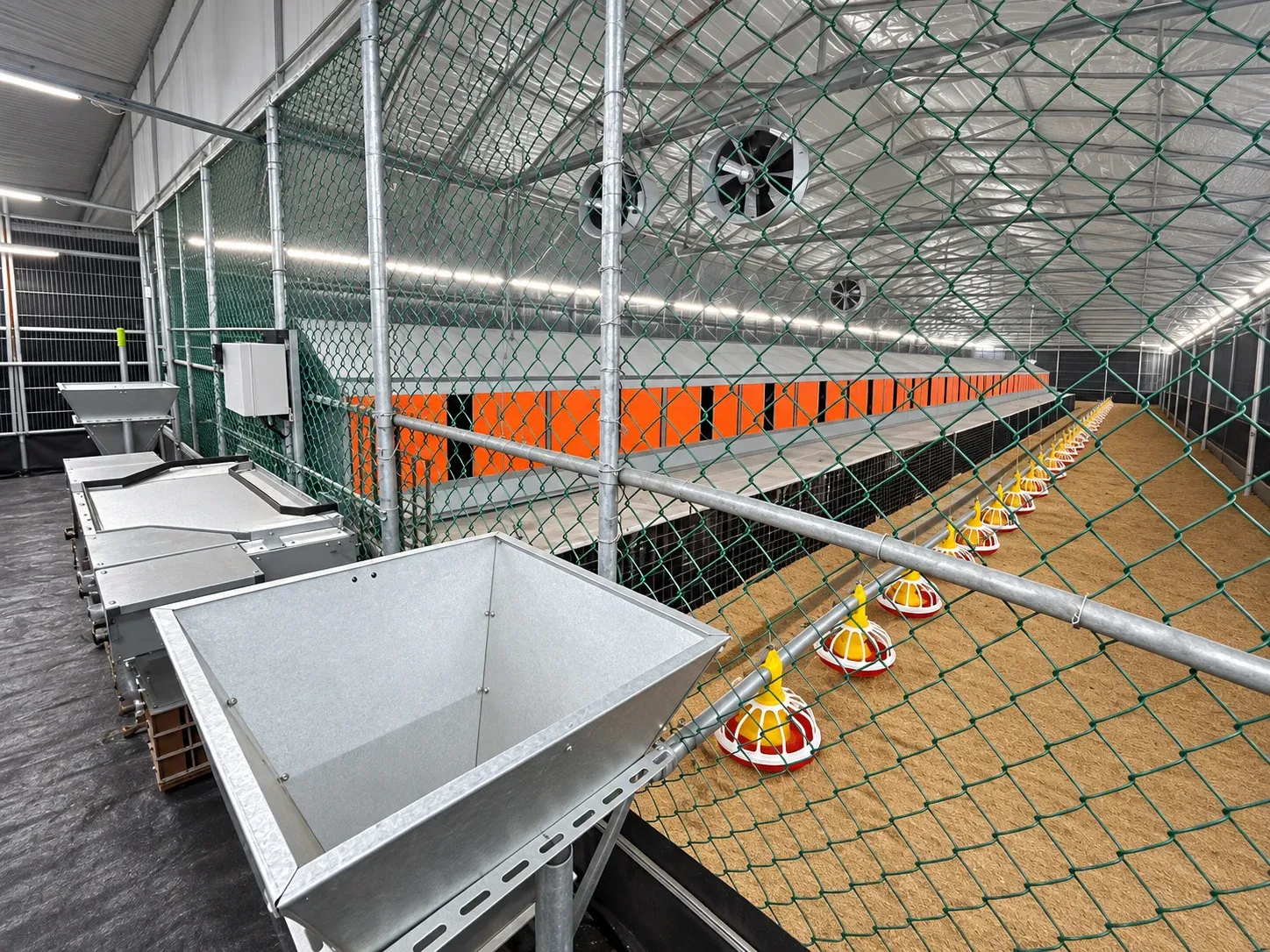 Nest arrangement and feeding space