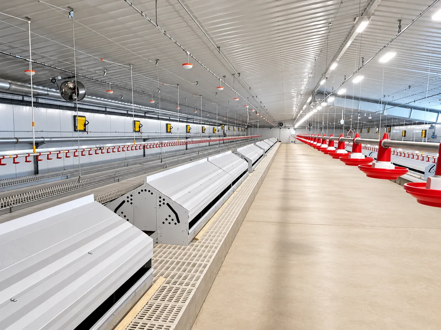 Floor-house equipment rows and access aisle